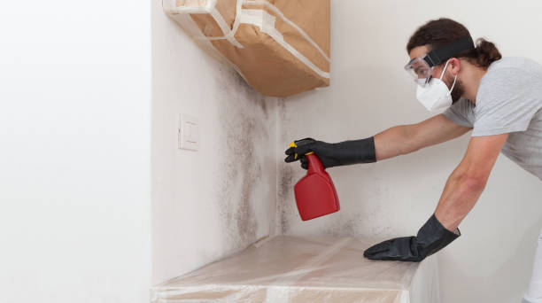 Professional Basement Mold Removal technician working in Long Branch, VA