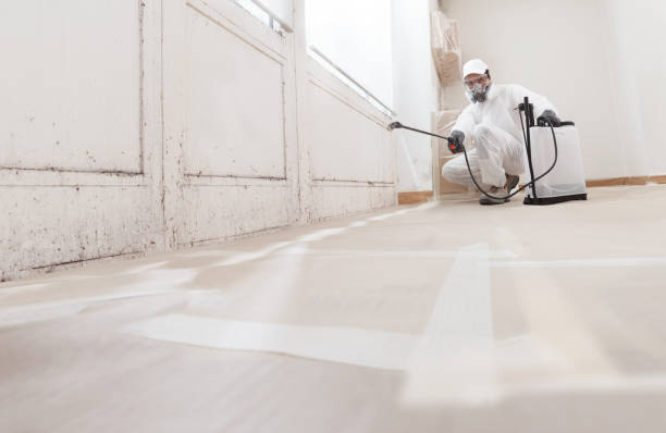 24/7 Emergency Basement Mold Removal experts in Long Branch, VA
