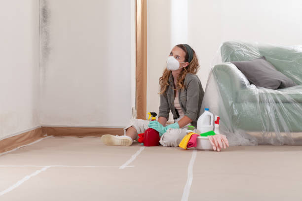 Reliable Basement Mold Removal contractor in Long Branch, VA by WQB Mold Removal